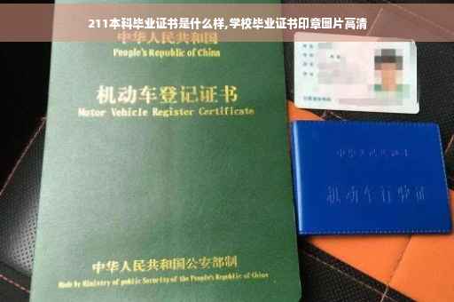 211本科毕业证书是什么样,学校毕业证书印章图片高清