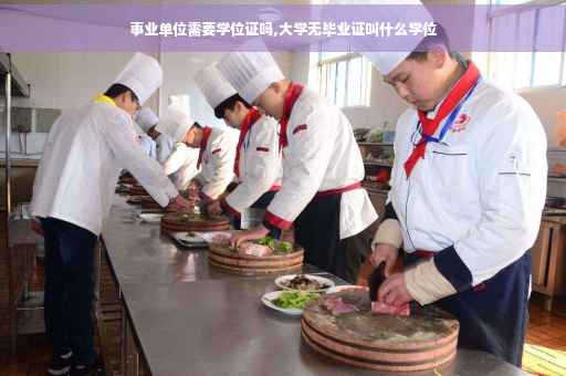 事业单位需要学位证吗,大学无毕业证叫什么学位