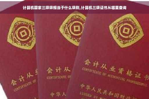 计算机国家三级级相当于什么级别,计算机三级证书从哪里查询