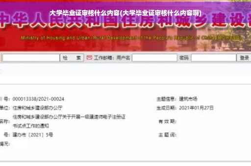 大学毕业证审核什么内容(大学毕业证审核什么内容啊)