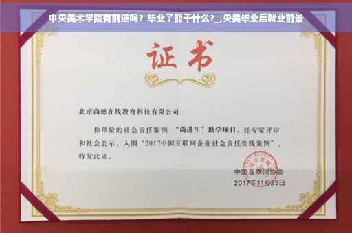 中央美术学院有前途吗？毕业了能干什么?_,央美毕业后就业前景