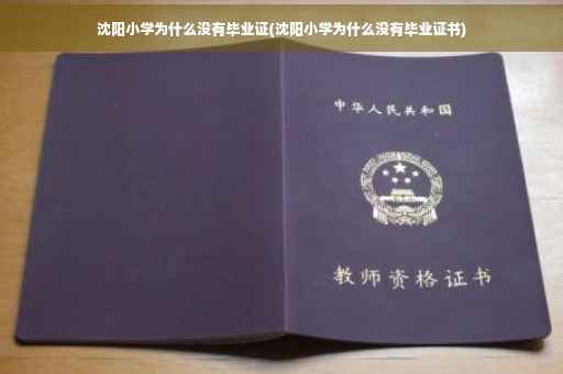 沈阳小学为什么没有毕业证(沈阳小学为什么没有毕业证书)