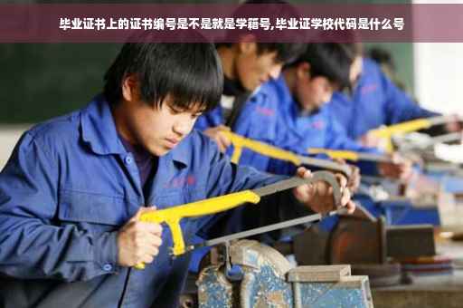 毕业证书上的证书编号是不是就是学籍号,毕业证学校代码是什么号
