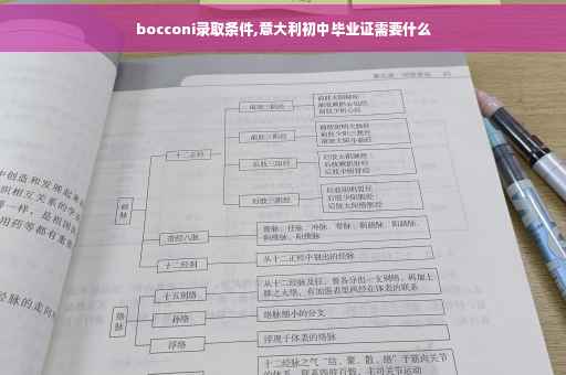 bocconi录取条件,意大利初中毕业证需要什么