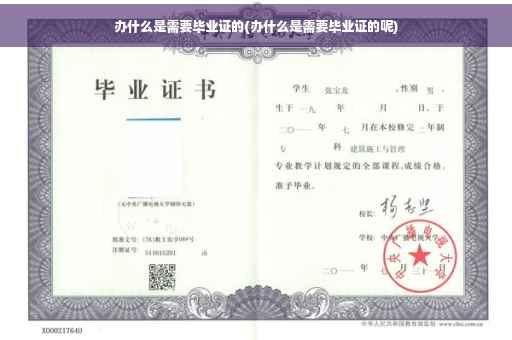 办什么是需要毕业证的(办什么是需要毕业证的呢)