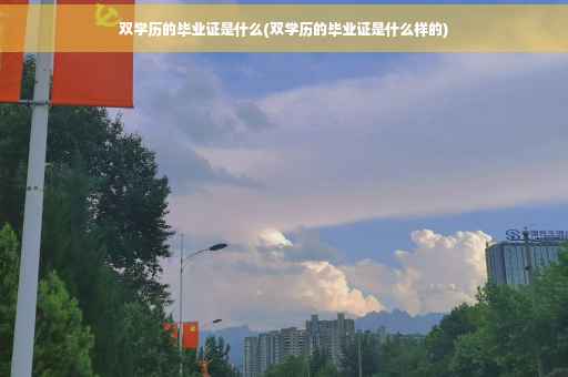 双学历的毕业证是什么(双学历的毕业证是什么样的)