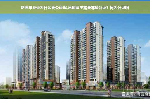 护照毕业证为什么要公证呢,出国留学需要哪些公证？何为公证啊