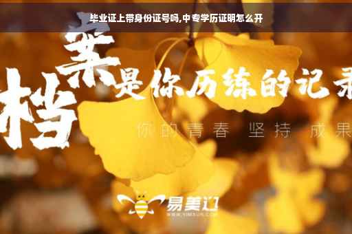 毕业证上带身份证号吗,中专学历证明怎么开