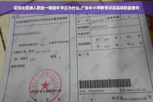 深圳比亚迪入职统一填初中学历为什么,广东中小学教师评副高级职称条件
