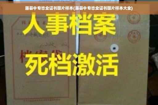 藤县中专毕业证书图片样本(藤县中专毕业证书图片样本大全)