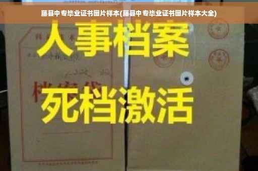 中专毕业证丢了。去学校开证明麻烦吗?要准备什么材料，急用,中专毕业证没拿到怎么办