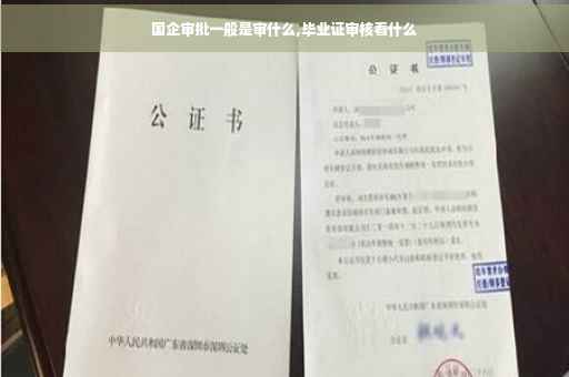 国企审批一般是审什么,毕业证审核看什么