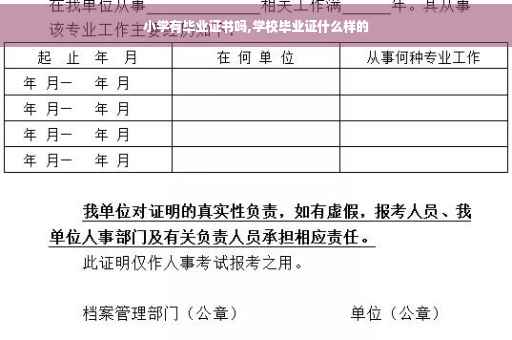 小学有毕业证书吗,学校毕业证什么样的