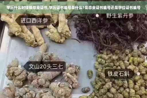学历什么时候换毕业证书,学历证书编号是什么?是毕业证书编号还是学位证书编号