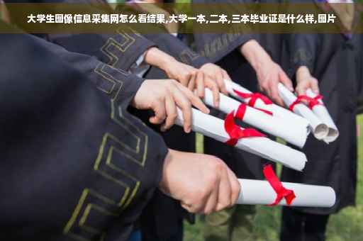 大学生图像信息采集网怎么看结果,大学一本,二本,三本毕业证是什么样,图片