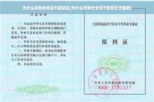 为什么没有毕业证不能转正(为什么没有毕业证不能转正式编制)
