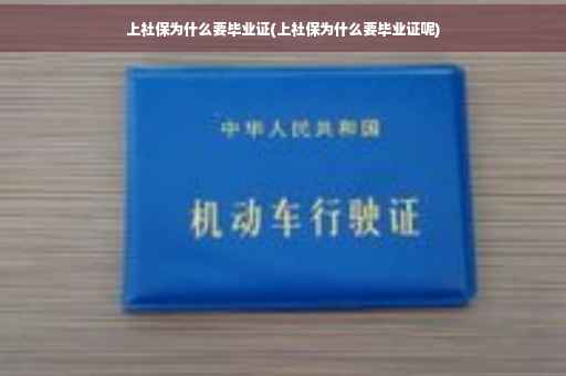 上社保为什么要毕业证(上社保为什么要毕业证呢)