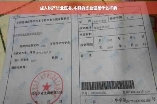 成人脱产毕业证书,本科的毕业证是什么样的