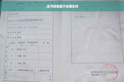 ,实习结束属于应届生吗