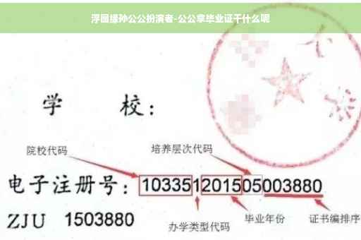 浮图缘孙公公扮演者-公公拿毕业证干什么呢