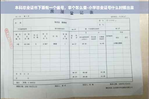 本科毕业证书下面有一个编号，拿个怎么查-小学毕业证号什么时候出来