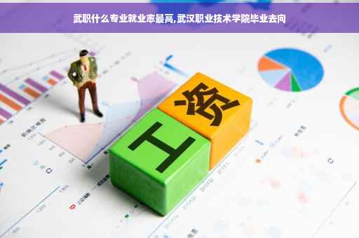 武职什么专业就业率最高,武汉职业技术学院毕业去向