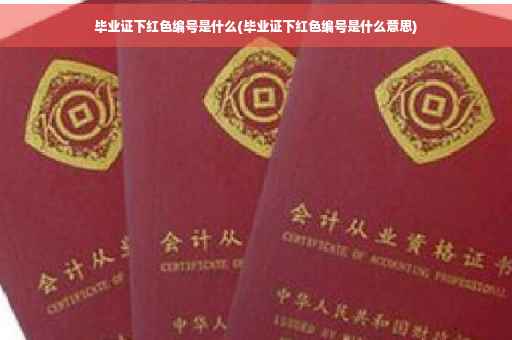 毕业证下红色编号是什么(毕业证下红色编号是什么意思)