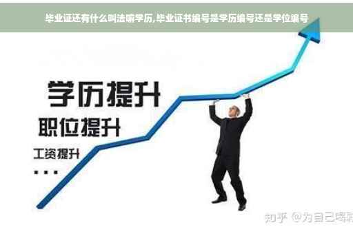 毕业证还有什么叫法嘛学历,毕业证书编号是学历编号还是学位编号