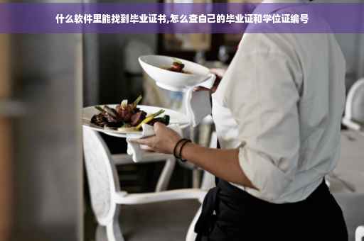 什么软件里能找到毕业证书,怎么查自己的毕业证和学位证编号