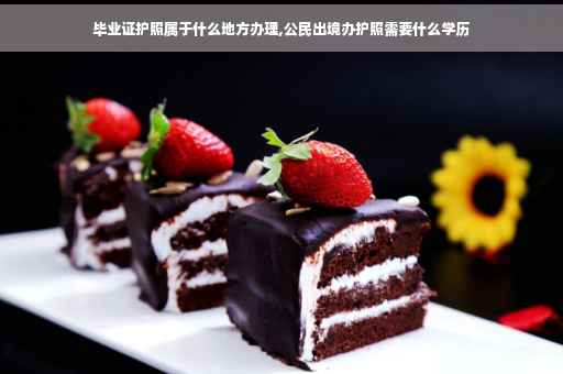 毕业证护照属于什么地方办理,公民出境办护照需要什么学历