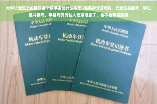 大学毕业证上的编码各个数字各是什么意思,如果身份证号码，毕业证书编号，学位证书标号，手机号码等私人信息泄露了，会不会惹来麻烦