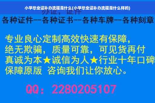 小学毕业证补办流程是什么(小学毕业证补办流程是什么样的)