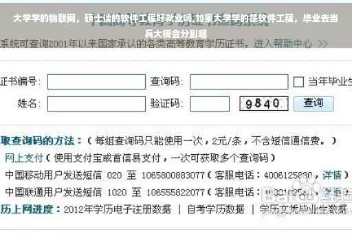 大学学的物联网，硕士读的软件工程好就业吗,如果大学学的是软件工程，毕业去当兵大概会分到哪