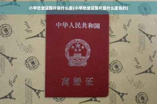 小学毕业证图片是什么底(小学毕业证图片是什么底色的)