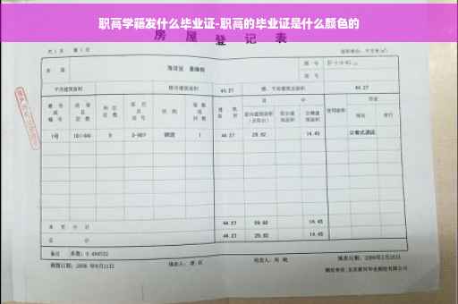 职高学籍发什么毕业证-职高的毕业证是什么颜色的