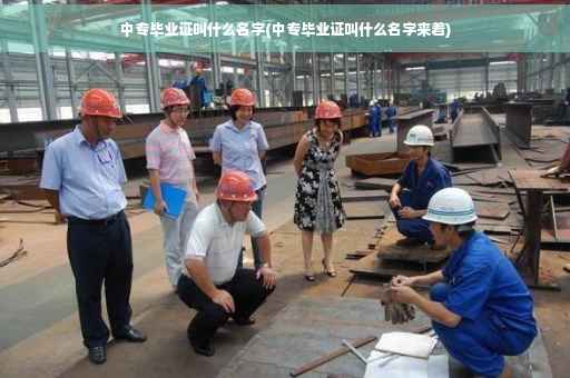 中专毕业证叫什么名字(中专毕业证叫什么名字来着)