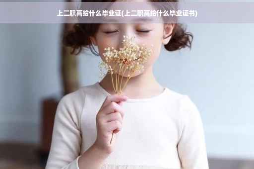 上二职高给什么毕业证(上二职高给什么毕业证书)