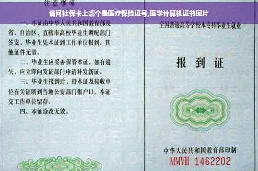 请问社保卡上哪个是医疗保险证号,医学计算机证书图片
