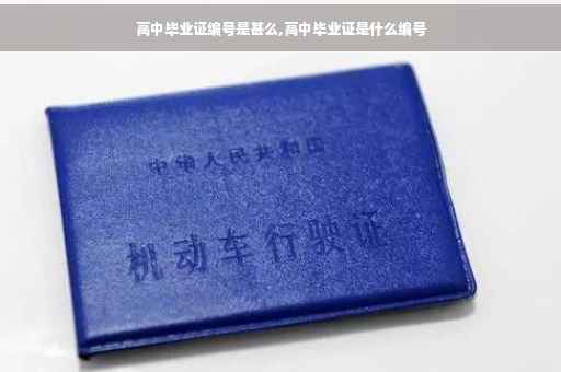 高中毕业证编号是甚么,高中毕业证是什么编号