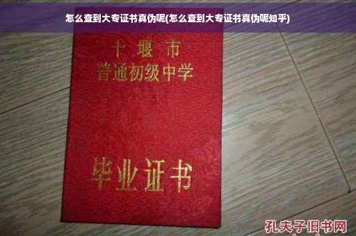 怎么查到大专证书真伪呢(怎么查到大专证书真伪呢知乎)