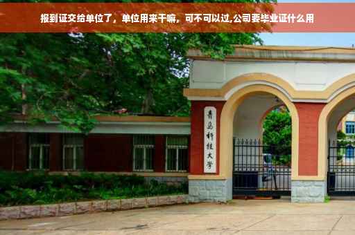 报到证交给单位了，单位用来干嘛，可不可以过,公司要毕业证什么用