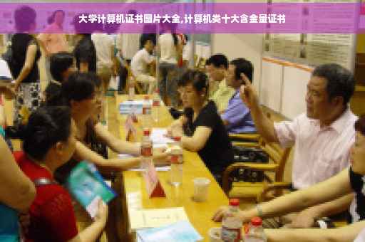 大学计算机证书图片大全,计算机类十大含金量证书
