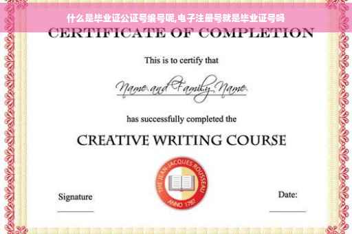 什么是毕业证公证号编号呢,电子注册号就是毕业证号吗