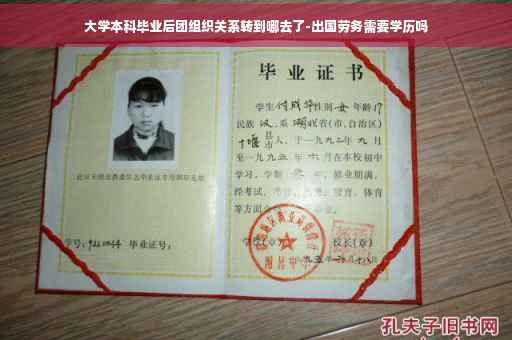 大学本科毕业后团组织关系转到哪去了-出国劳务需要学历吗