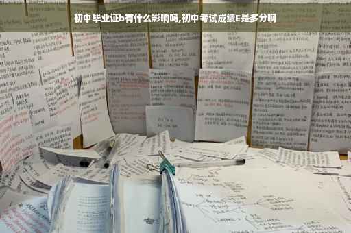初中毕业证b有什么影响吗,初中考试成绩E是多分啊