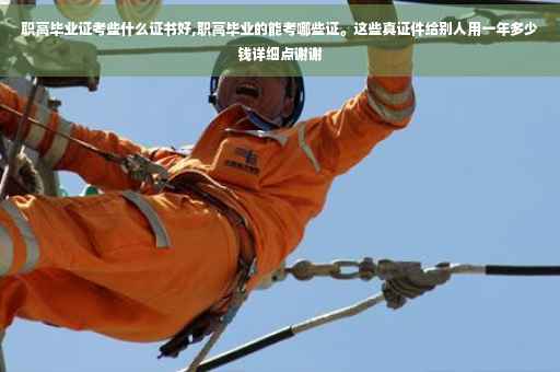 职高毕业证考些什么证书好,职高毕业的能考哪些证。这些真证件给别人用一年多少钱详细点谢谢