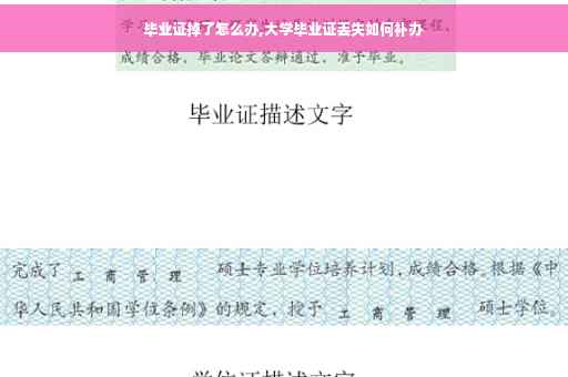 毕业证掉了怎么办,大学毕业证丢失如何补办