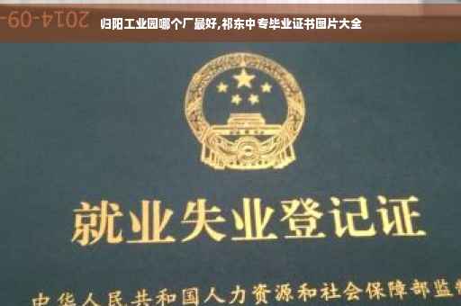 归阳工业园哪个厂最好,祁东中专毕业证书图片大全
