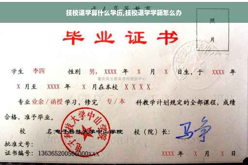 技校退学算什么学历,技校退学学籍怎么办