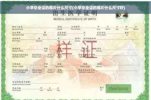 小学毕业证的相片什么尺寸(小学毕业证的相片什么尺寸好)